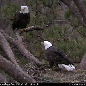 Meet your Posher, Sabian